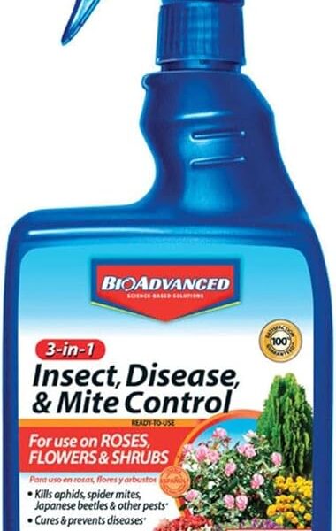 BioAdvanced 3-In-1 Insect, Disease